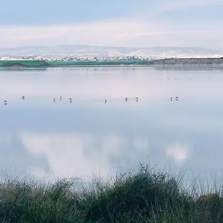 아파트 2 Bedroom Brand New Mc Kenzie 2 Minute To The Mc Kenzie *